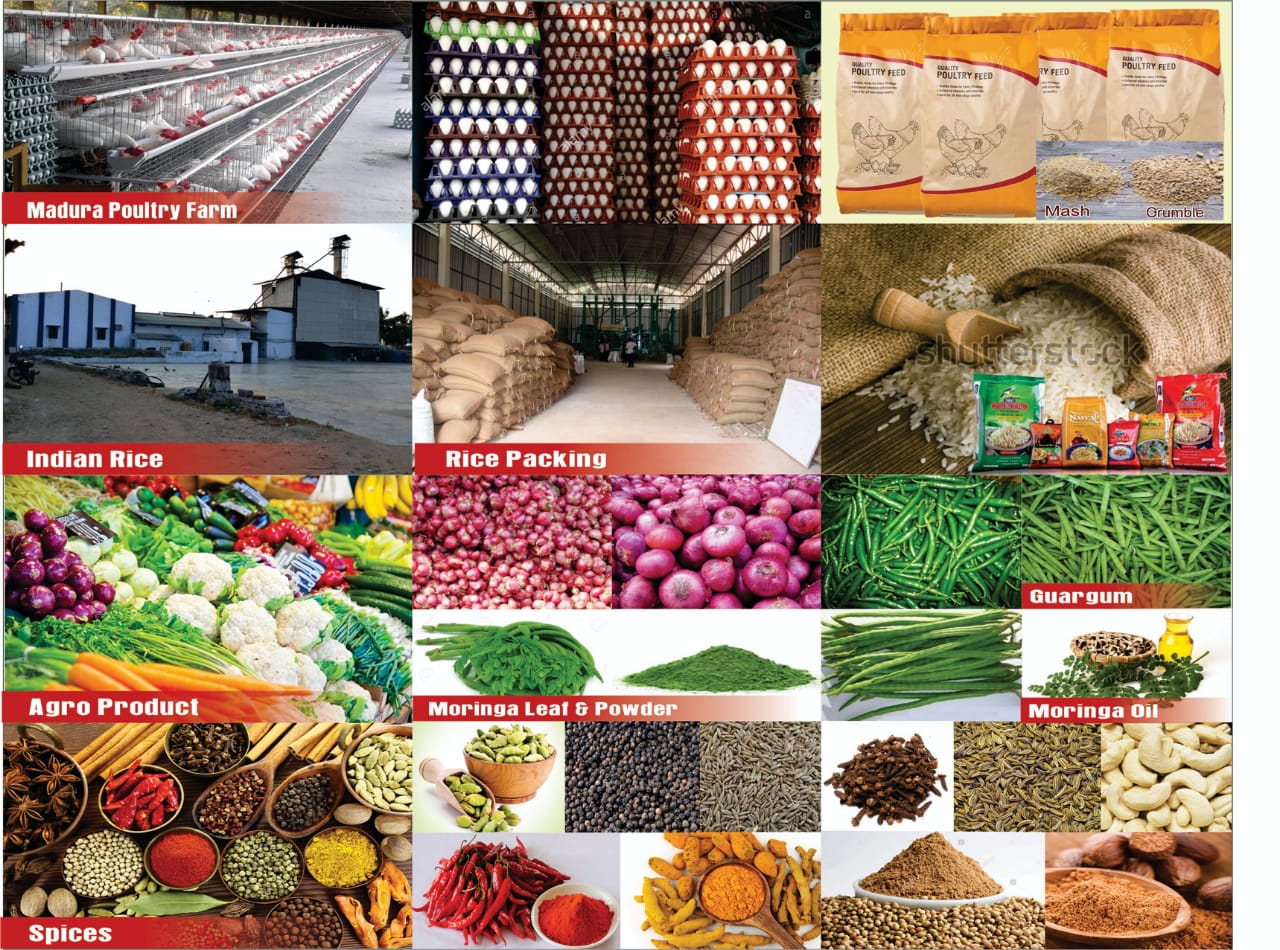 Our Factory5